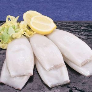 CALAMAR TUBO