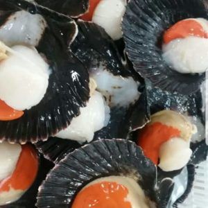 CONCHAS 1/2 VALVA